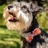 Magical Mushrooms Dog Bow Tie by Hiro And Wolf